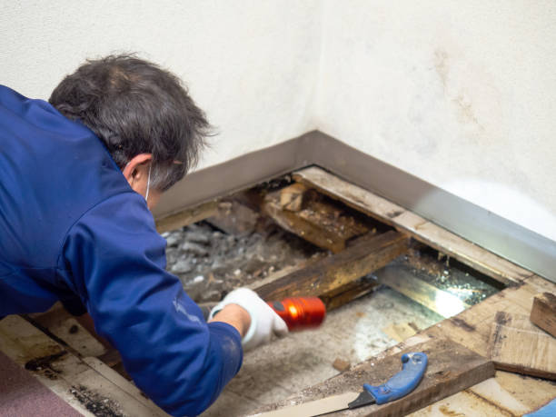 Best Post-Remediation Services in Tieton, WA