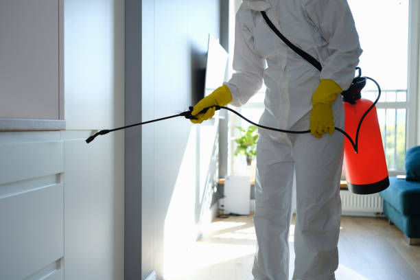 Best Insurance-Related Mold Remediation in Tieton, WA