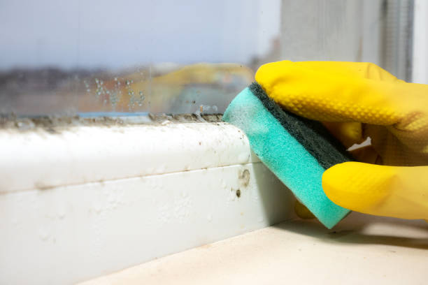 Tieton, WA Mold Remediation Company