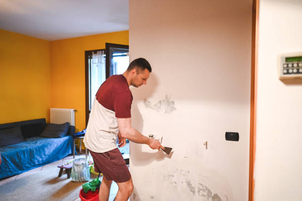 Best Residential Mold Remediation in Tieton, WA
