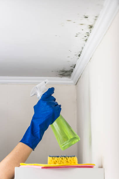 Best Mold Remediation for Specific Building Types in Tieton, WA